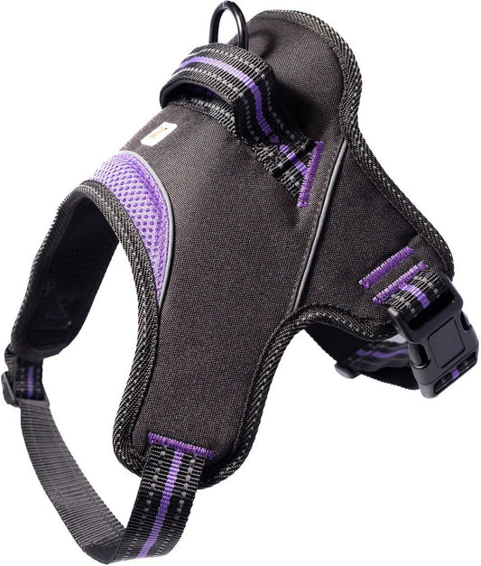 Doggy Tales Hart Dog Harness Purple 45in