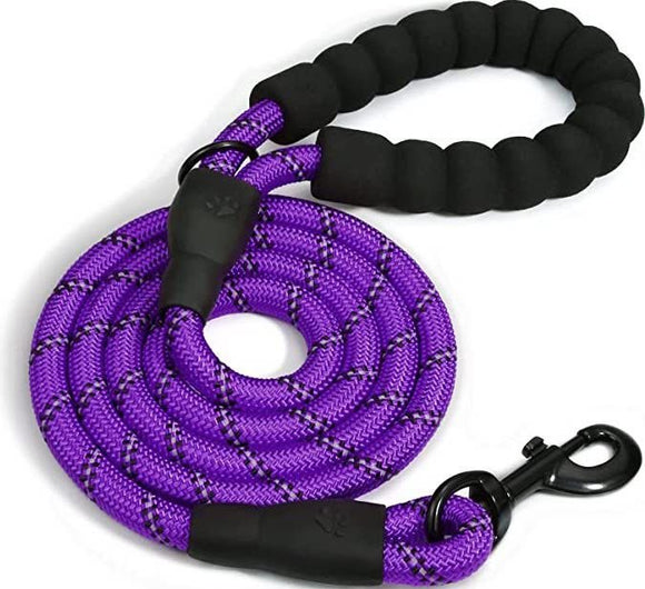 Doggy Tales Braided Dog Leash, 5-ft Purple