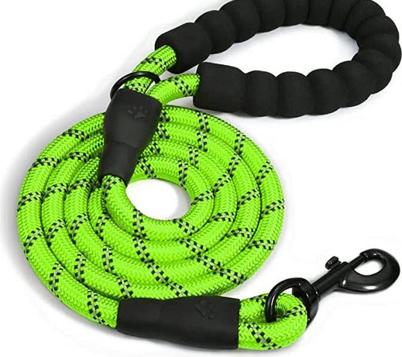 Doggy Tales Braided Dog Leash, 5-ft Lime
