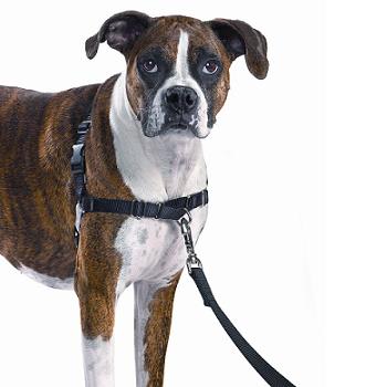 PetSafe Easy Walk Adjustable Dog Harness - L - Black