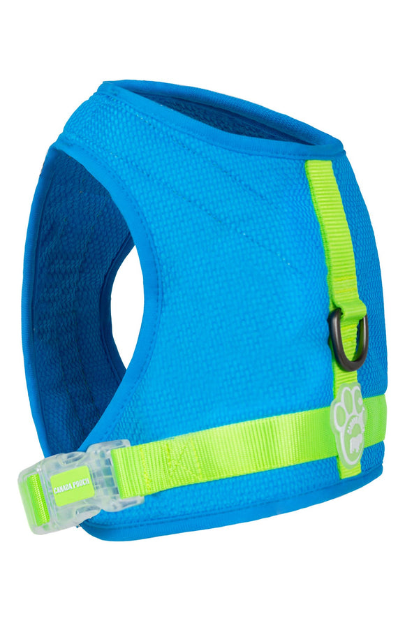 Canada Pooch Chill Seeker Cooling Harness in Blue at Nordstrom, Size 20
