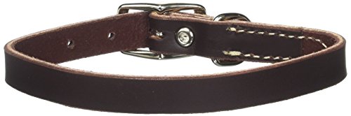 Circle T Leather Latigo 5/8 Leather Flat Dog Collar 14 16 14IN