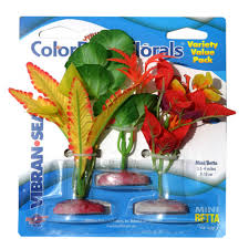Blue Ribbon Pet Products Colorburst Florals Plant Variety Pack - Large