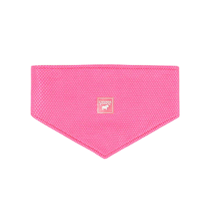 Canada Pooch Chill Seeker Cooling Bandana, Neon Pink Small