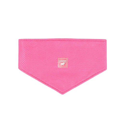 Canada Pooch Chill Seeker Cooling Bandana, Neon Pink Small