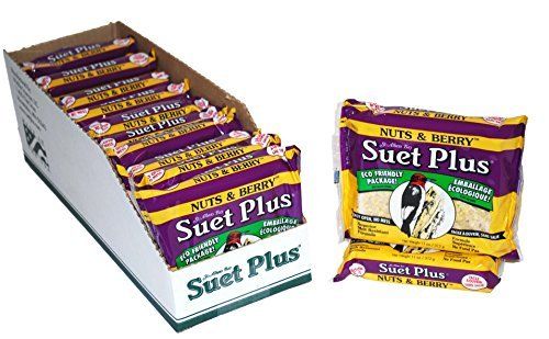 Suet Plus  Wild Bord Suet Cake 11oz Nuts and Berry