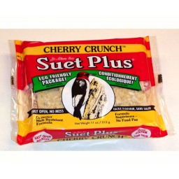 Suet Plus  Wild Bord Suet Cake 11oz Cherry Crunch