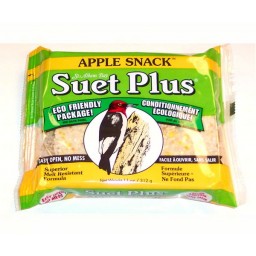 Suet Plus  Wild Bord Suet Cake 11oz Apple Snack