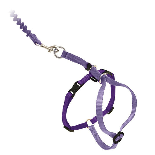 PetSafe Come With Me Kitty Harness  Bungee Leash  Medium  Lilac/Deep Purple
