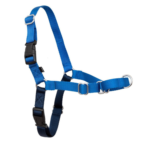 PetSafe Easy Walk Adjustable Dog Harness - M - Royal Blue