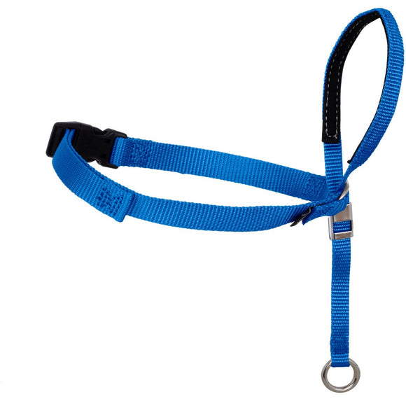 PetSafe Gentle Leader Headcollar  No-Pull Dog Collar  Small Up to 25 Lb.  Blue