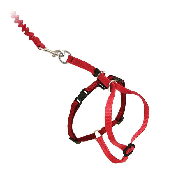 PetSafe Come with Me Kitty and Bungee Adjustable Leash Cat Harness - L - Red