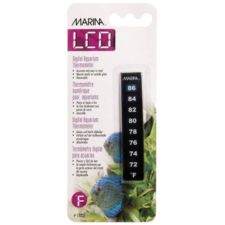 Marina LCD Digital Thermometer  Fahrenheit