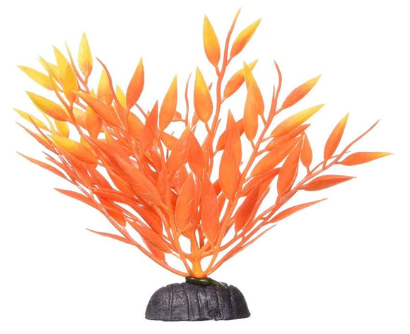Betta Fire Grass - 5  (12.7 cm)