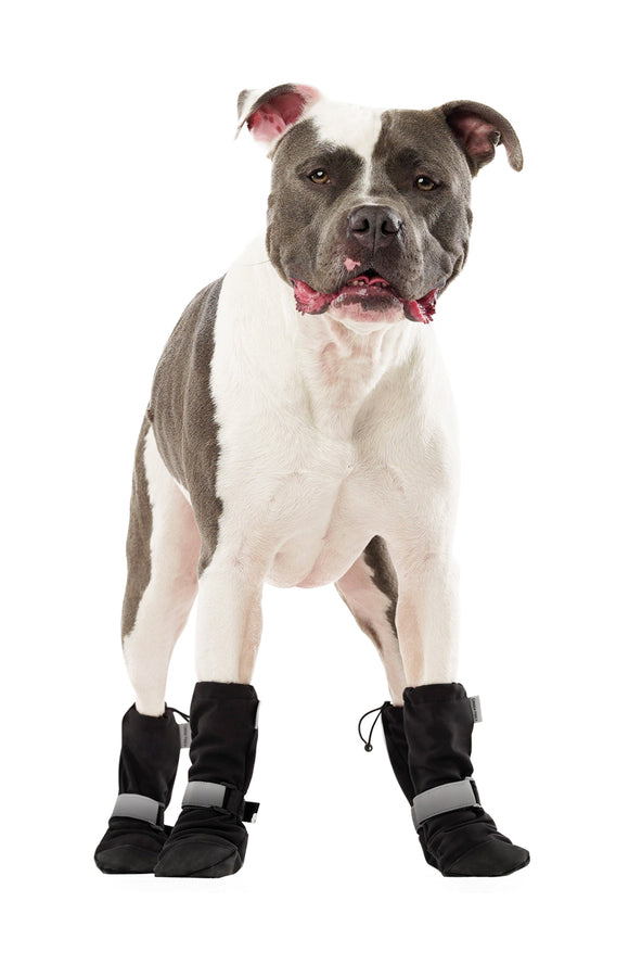 Canada Pooch Set of 4 Soft Shield Paw Boots in Black at Nordstrom