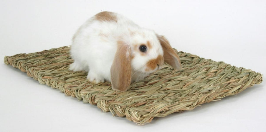 Woven Grass Mat for Small Animals  Brown