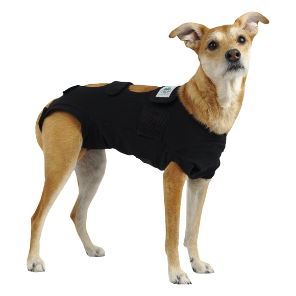 Calm Paws Premium Recovery Vest Small