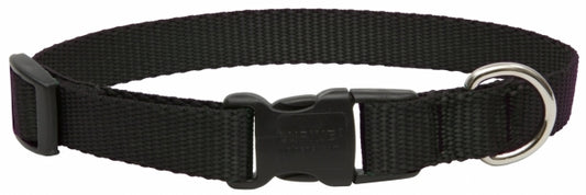 Lupine Collars and Leads 27502 3/4  x 13  To 22  Adjustable Black Dog Collar