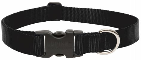 Lupine Collars and Leads 27552 1  x 12 -20  Adjustable Black Collar For Medium and Large Dogs