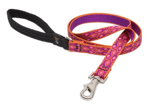 Lupine Lifetime Dog Collar or Leash - 3/4 - ALPEN GLOW"