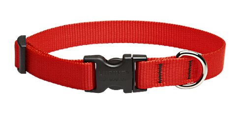 Lupine Collars and Leads 22501 3/4  x 9-14  Collar