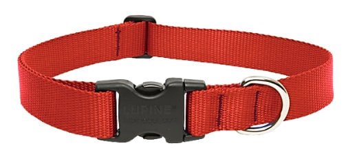 Lupine Collars and Leads 22552 Red 1  x 12-20  Collar