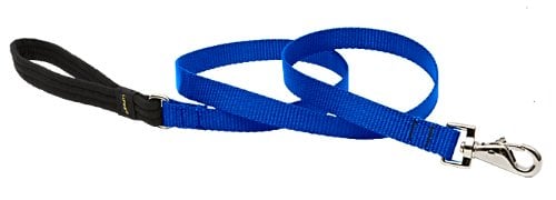 Lupine 17509 Unique Nylon Blue Dog Leash  3/4  x 6
