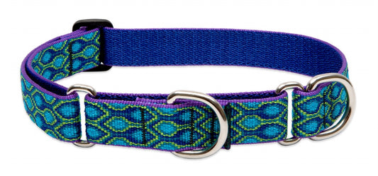 Lupine Martingale Combo Collars 1 Width Made in the USA Lifetime Guaranteed"