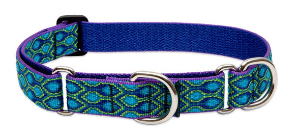 Lupine Martingale Combo Collars 1 Width Made in the USA Lifetime Guaranteed