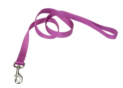 COASTAL PET PRODUCTS, INC. 904 04 ORD 1 NYLON WEB LEAD