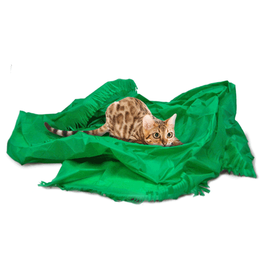 Dezi & Roo Magic Carpet Assorted Cat Toy