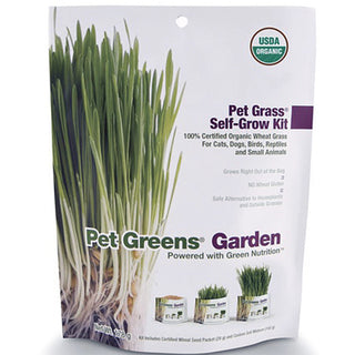 Pet Greens Garden Wheat Grass Self Grow Kit