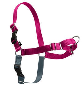PetSafe Easy Walk No-Pull Leash Training Dog Harness, Large, Raspberry