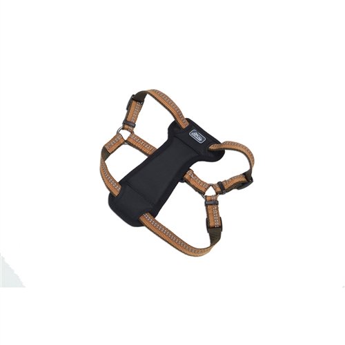 Coastal Pet Products 76484369520 K9 Explorer 1 in. Padded Harness Goldenrod Yellow - 26 - 38 in.