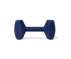 Coachi Small Dumbbell Weight for Dog Training