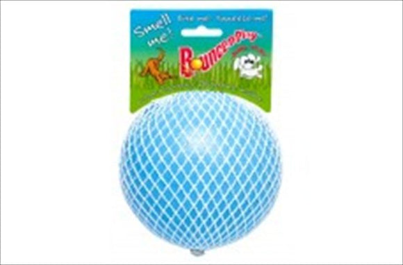 Jolly Pets Bounce-n-Play Jolly Ball Dog Toy  4.5   Light Blue