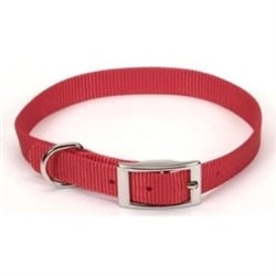 Coastal Pet Single Nylon Collar - Red 12 Long x 5/8 Wide