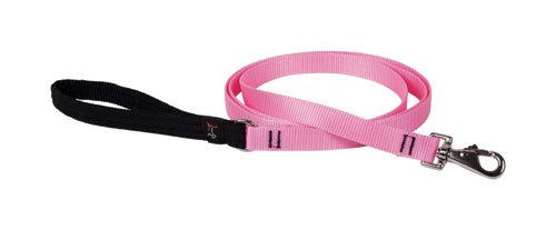 Lupine Pet Basic Solids Pink Pink Nylon Dog Leash - Total Qty: 1