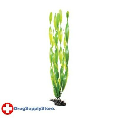 Underwater Treasures Green Jungle Vallisneria 16in