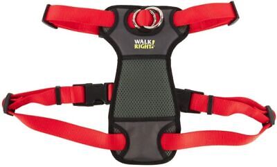 Coastal Pet Walk Right Padded Dog Harness Red Small