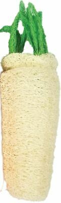 A&E Cage Co Nibbles Daikon Loofah Chew Toy Large