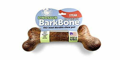 Pet Qwerks BarkBone Dinosaur Nylon Dog Bone Chew Toy  Steak Flavor  Large