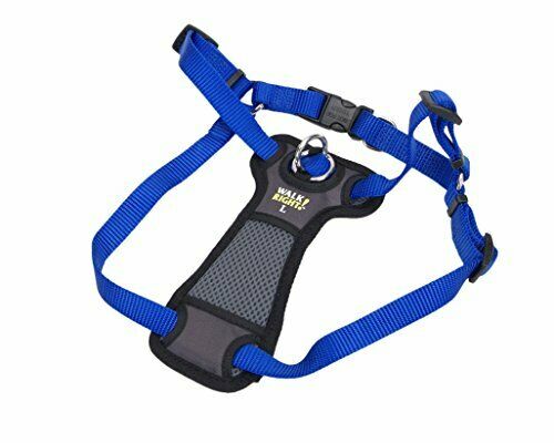 Coastal Pet Walk Right Padded Harness - Blue