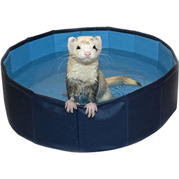 Marshall 24 Ferret Swimming Pool